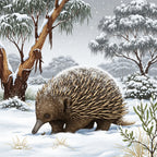 Echidna in a snowy forest with snow-covered trees and ground.