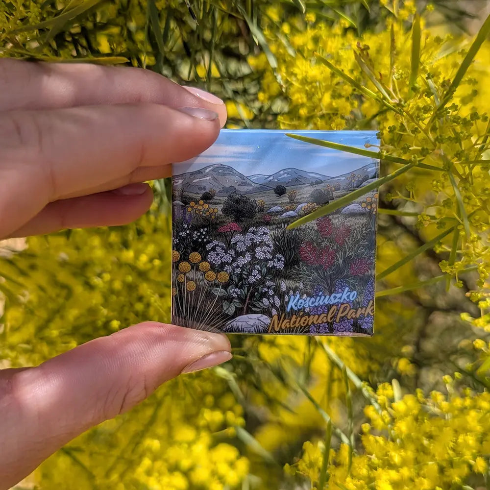 Kosciuszko Alpine Bloom Fridge Magnet