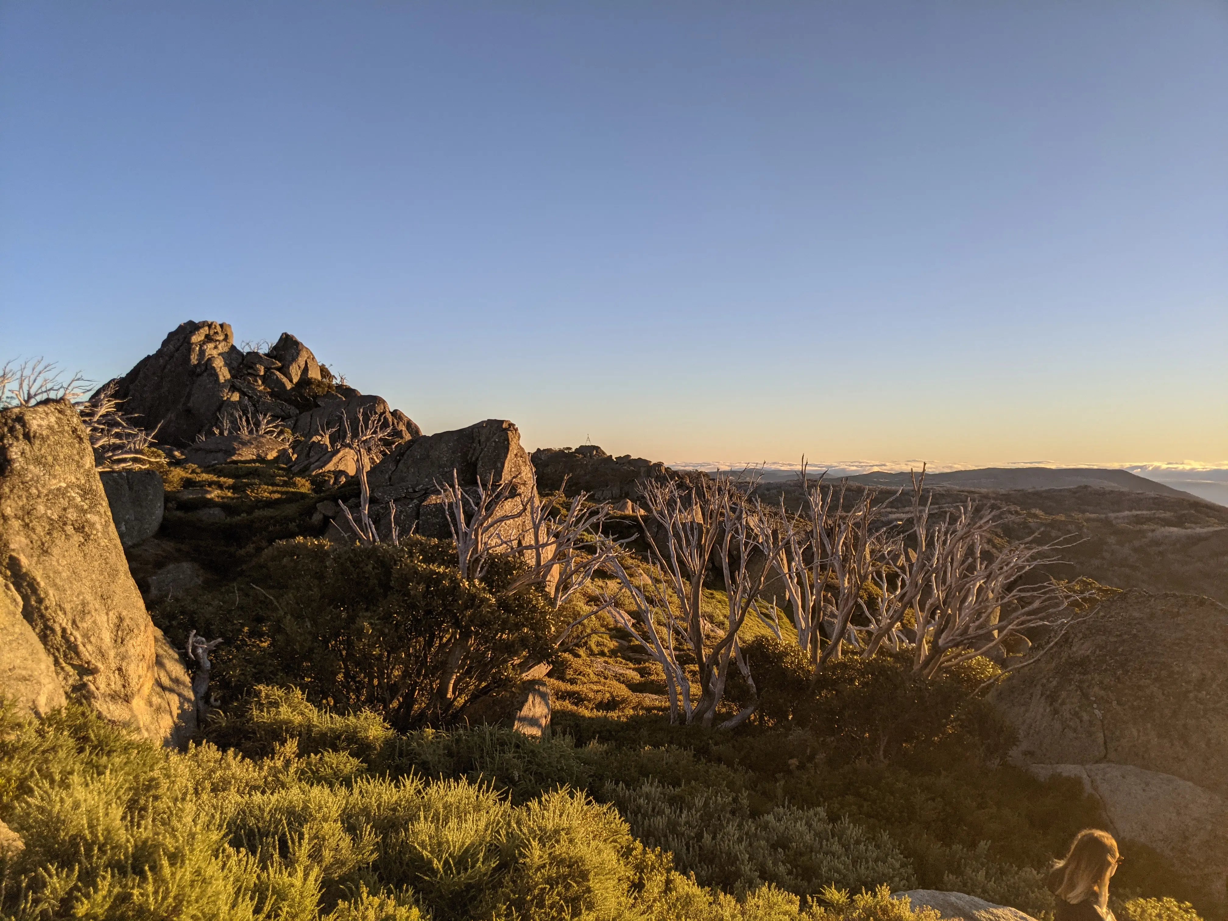 Scenic view of rocky landscape with trees and clear sky