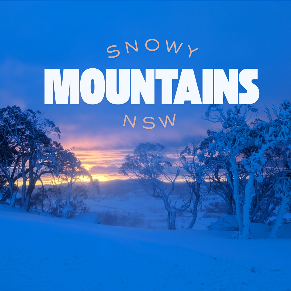 Snowy Mountains Vista Fridge Magnet