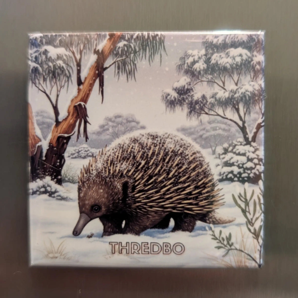 Fridge Magnet with an illustration of an echidna in a snowy landscape, branded 'THREDBO'.